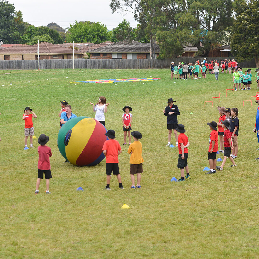 Whole School Carnival