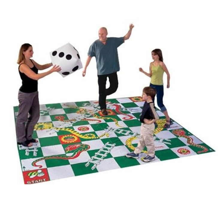 Giant Snakes and Ladders 1